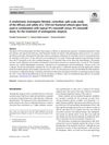 A Randomized, Investigator-Blinded, Controlled, Split-Scalp Study of the Efficacy and Safety of a 1550-nm Fractional Erbium-Glass Laser, Used in Combination with Topical 5% Minoxidil Versus 5% Minoxidil Alone, for the Treatment of Androgenetic Alopecia