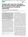 Careless Talk Costs Lives: Fibroblast Growth Factor Receptor Signalling and the Consequences of Pathway Malfunction
