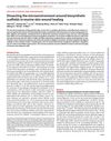 Dissecting the Microenvironment Around Biosynthetic Scaffolds in Murine Skin Wound Healing