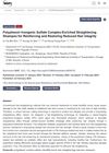 Polyphenol–Inorganic Sulfate Complex-Enriched Straightening Shampoo for Reinforcing and Restoring Reduced Hair Integrity