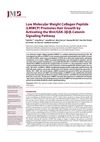 Low Molecular Weight Collagen Peptide Promotes Hair Growth by Activating the Wnt/GSK-3β/β-Catenin Signaling Pathway