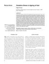 Oxidative Stress in Aging of Hair