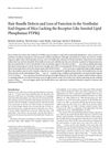Hair Bundle Defects and Loss of Function in the Vestibular End Organs of Mice Lacking the Receptor-Like Inositol Lipid Phosphatase PTPRQ