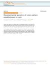 Developmental Genetics of Color Pattern Establishment in Cats