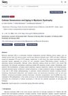 Cellular Senescence and Aging in Myotonic Dystrophy