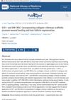 IGF1 and BM-MSC Incorporating Collagen-Chitosan Scaffolds Promote Wound Healing and Hair Follicle Regeneration
