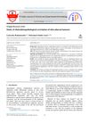 Study of Clinicohistopathological Correlation of Skin Adnexal Tumors