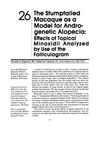 The Stumptailed Macaque as a Model for Androgenetic Alopecia: Effects of Topical Minoxidil Analyzed by Use of the Folliculogram