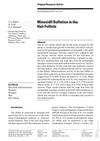 Minoxidil Sulfation in the Hair Follicle