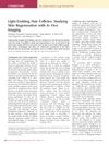 Light-Emitting Hair Follicles: Studying Skin Regeneration With In Vivo Imaging