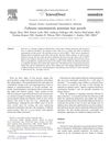 Fullerene Nanomaterials Potentiate Hair Growth