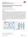 Surface-Induced Mechano-Regulation of Macrophages: Emerging Strategies for Immunotherapy