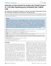 Induction of Hair Growth by Insulin-Like Growth Factor-1 in 1,763 MHz Radiofrequency-Irradiated Hair Follicle Cells