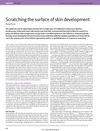 Scratching the Surface of Skin Development