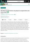 Fibroblast Growth Factors: Key Players in Regeneration and Tissue Repair