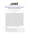 Defining the Role of Primary Cilia on Skin-Derived Precursors