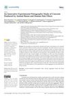 An Innovative Experimental Petrographic Study of Concrete Produced by Animal Bones and Human Hair Fibers