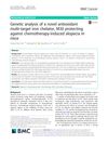 Genetic Analysis of a Novel Antioxidant Multi-Target Iron Chelator, M30, Protecting Against Chemotherapy-Induced Alopecia in Mice