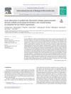 Green Fabrication of Seedbed-Like Flammulina Velutipes Polysaccharides-Derived Scaffolds Accelerating Full-Thickness Skin Wound Healing Accompanied by Hair Follicle Regeneration
