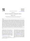 Molecular Mechanisms of Androgenetic Alopecia