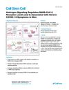 Androgen Signaling Regulates SARS-CoV-2 Receptor Levels and Is Associated with Severe COVID-19 Symptoms in Men