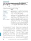 CD10 and CD34 in Fetal and Adult Human Hair Follicles: Dynamic Changes in Their Immunohistochemical Expression During Embryogenesis and Hair Cycling