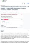 Acetate Meliorates Depressive-Like Behaviour in a Rat Model of PCOS Through Suppression of HDAC2 Expression and DNA Methylation