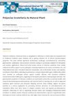 Polyscias Scutellaria as a Natural Plant