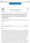Conditioned Media-Integrated Microneedles for Hair Regeneration Through Perifollicular Angiogenesis