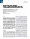 Nerve-Derived Sonic Hedgehog Defines a Niche for Hair Follicle Stem Cells Capable of Becoming Epidermal Stem Cells