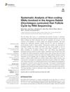Systematic Analysis of Non-coding RNAs Involved in the Angora Rabbit Hair Follicle Cycle by RNA Sequencing