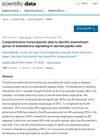 Comprehensive Transcriptome Data to Identify Downstream Genes of Testosterone Signaling in Dermal Papilla Cells