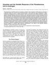 Hirsutism and the Variable Response of the Pilosebaceous Unit to Androgens