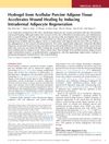Hydrogel from Acellular Porcine Adipose Tissue Accelerates Wound Healing by Inducing Intradermal Adipocyte Regeneration
