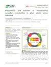 Biosynthesis and Function of Rhizobacterial Secondary Metabolites in Plant Abiotic Stress Tolerance