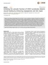 Inhibiting the Cytosolic Function of CXXC5 Accelerates Diabetic Wound Healing by Enhancing Angiogenesis and Skin Repair
