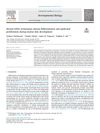 Dermal EZH2 Orchestrates Dermal Differentiation and Epidermal Proliferation During Murine Skin Development