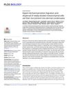 Rapid Mechanosensitive Migration and Dispersal of Newly Divided Mesenchymal Cells Aid Their Recruitment into Dermal Condensates