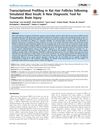 Transcriptional Profiling in Rat Hair Follicles Following Simulated Blast Insult: A New Diagnostic Tool for Traumatic Brain Injury