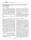 Epidermal Keratinocyte Stem Cells: Their Maintenance and Regulation