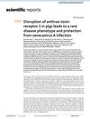 Disruption of Anthrax Toxin Receptor 1 in Pigs Leads to a Rare Disease Phenotype and Protection from Senecavirus A Infection