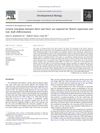 Genetic Interplays Between Msx2 And Foxn1 Are Required For Notch1 Expression And Hair Shaft Differentiation