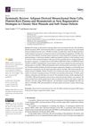 Systematic Review: Adipose-Derived Mesenchymal Stem Cells, Platelet-Rich Plasma, and Biomaterials as New Regenerative Strategies in Chronic Skin Wounds and Soft Tissue Defects