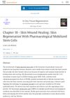 Skin Wound Healing: Role of Bone Marrow Stem Cells in Regeneration