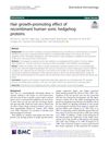 Hair Growth-Promoting Effect of Recombinant Human Sonic Hedgehog Proteins