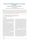 Return of Fertility in a Dog with a Prostatic Abscess