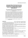 Synergistic Effect of Rice Bran Extract and Extremely Low-Frequency Electromagnetic Fields on Dermal Papilla/Melanocytes in Melanogenesis