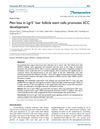 Pten Loss In Lgr5+ Hair Follicle Stem Cells Promotes SCC Development