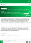 Dermal Sheath Cells Contribute to Postnatal Hair Follicle Growth and Cycling