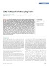 CCN2 Modulates Hair Follicle Cycling in Mice